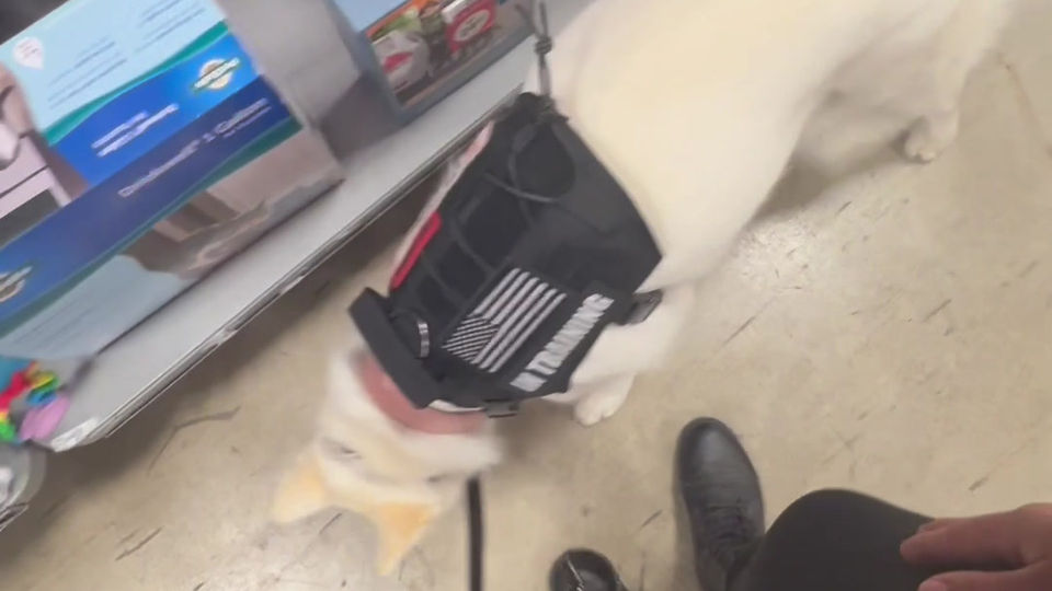 f9db4b3deedb496aac8b554a18471618